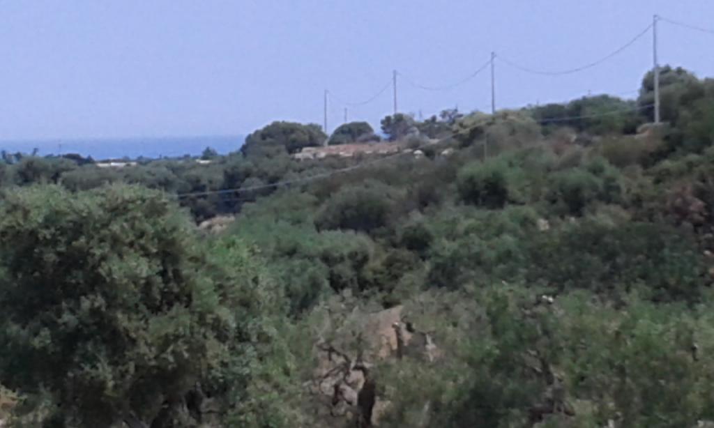 Lama Cupa Fasano Exterior photo